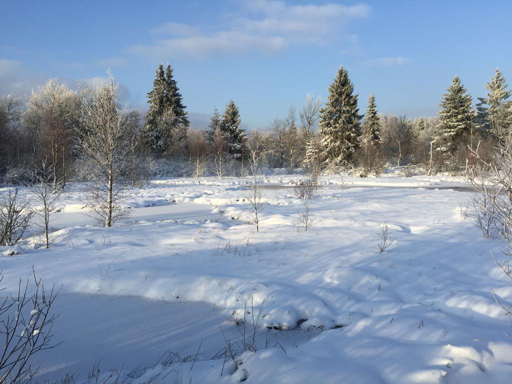 Venngasthof Zur Buche Моншау Экстерьер фото